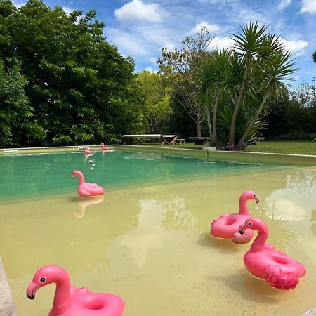 Le Patio, Chambres D Hotes Pour Adultes En Camargue, Possibilite De Naturisme A La Piscine, 아메거스 외부 사진