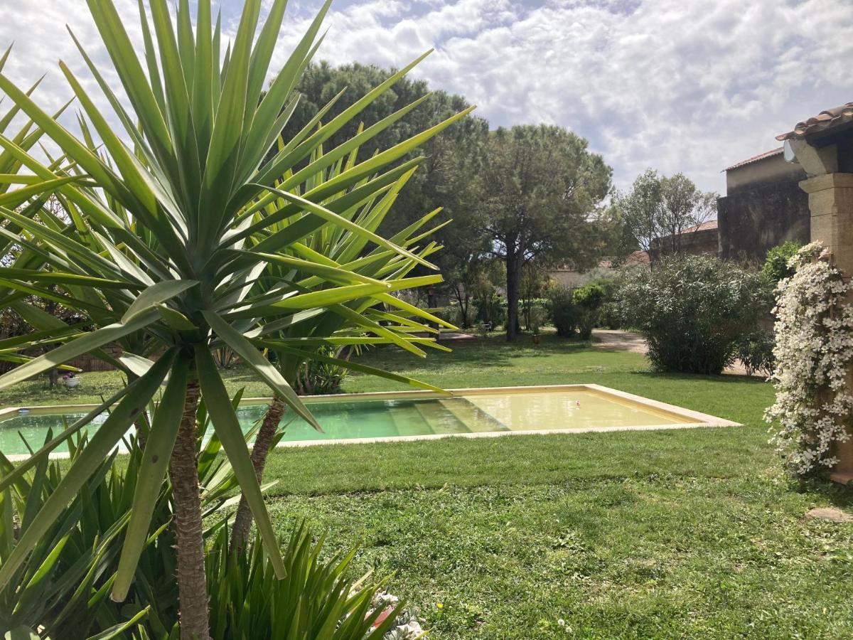 Le Patio, Chambres D Hotes Pour Adultes En Camargue, Possibilite De Naturisme A La Piscine, 아메거스 외부 사진