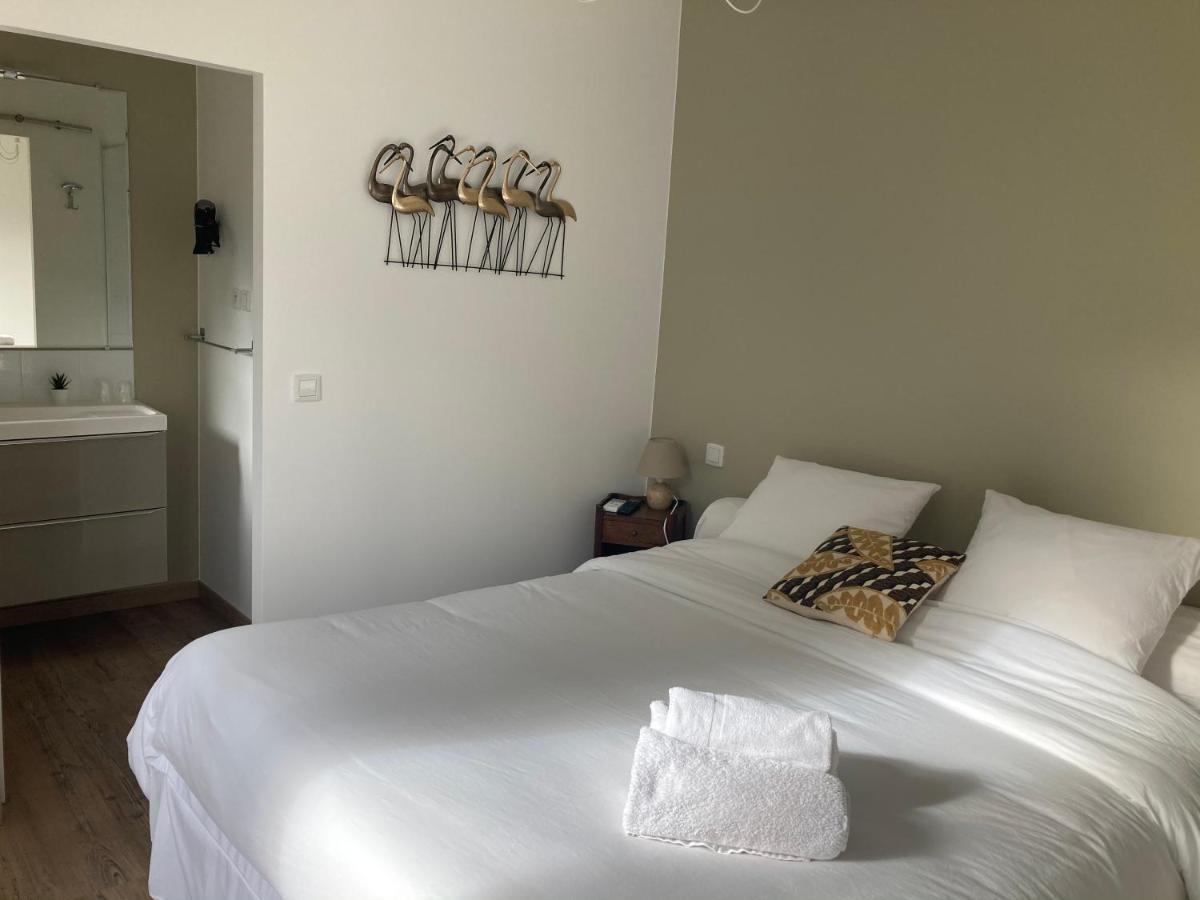 Le Patio, Chambres D Hotes Pour Adultes En Camargue, Possibilite De Naturisme A La Piscine, 아메거스 외부 사진
